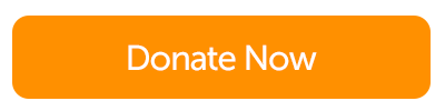 button donate now orange