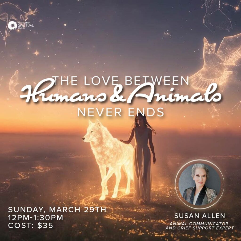 Human and Animal Connection